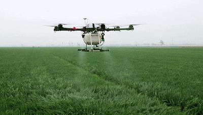 无人机植保