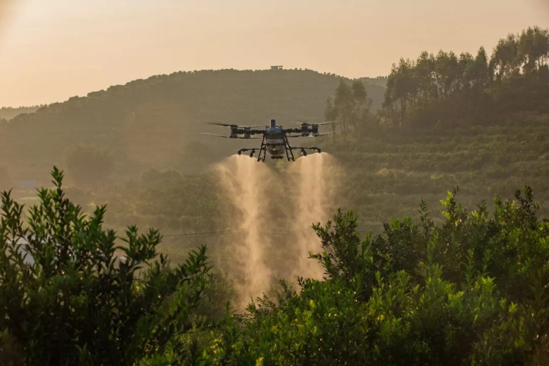 农业无人机飞遍田野，从业者的 “新转向” 里藏着行业真趋势