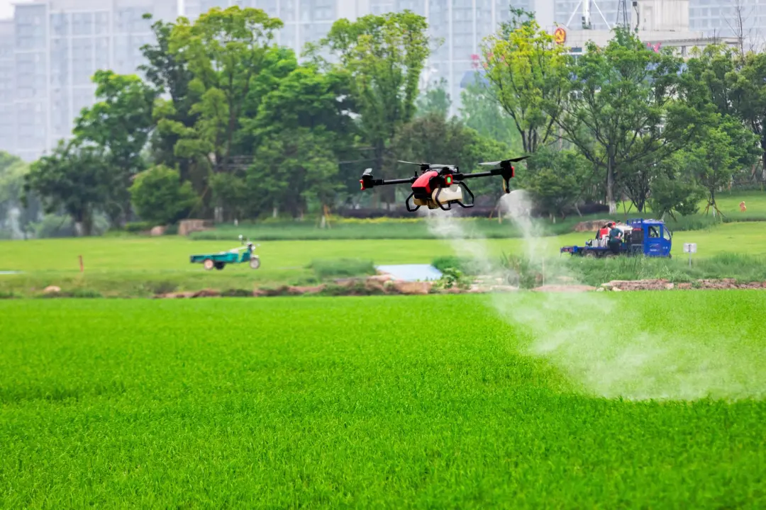 飞手与无人机：农田里的精准革命