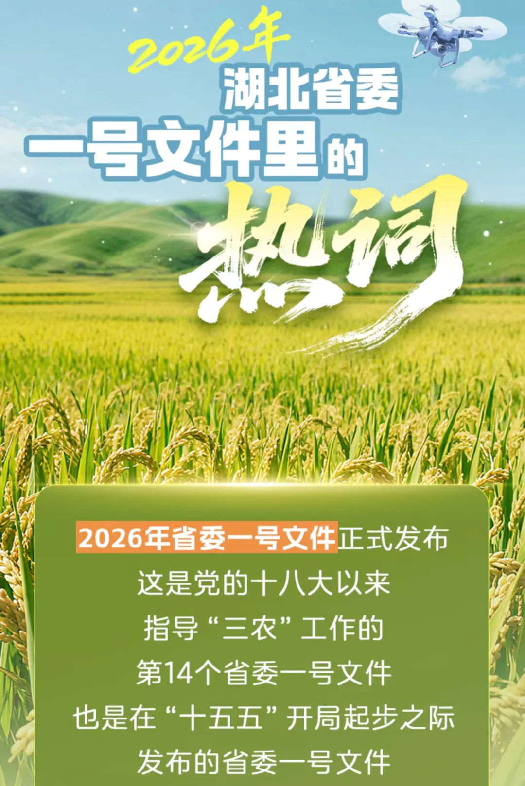 1774345576868185.png 2026 湖北省委一号文件重磅发布!无人机站上三农风口,持证入行抢占高薪红利